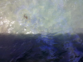 IMG 20120611 113633 (Medium)